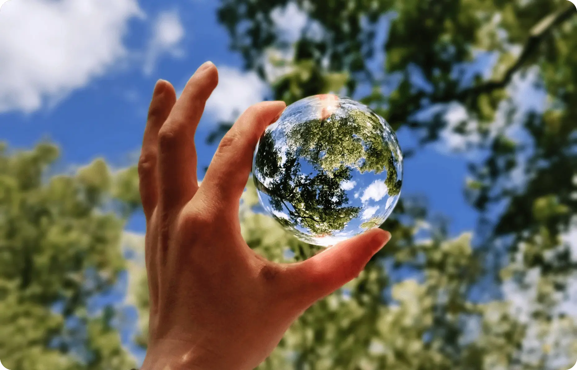 Globe