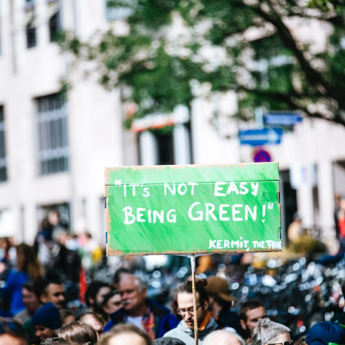 climate strike